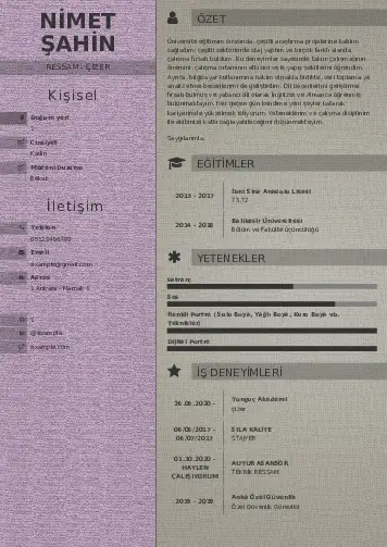 Ressam Cv Örnekleri cv indir